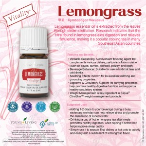 Lemongrass vitality 檸檬香茅精油調味料